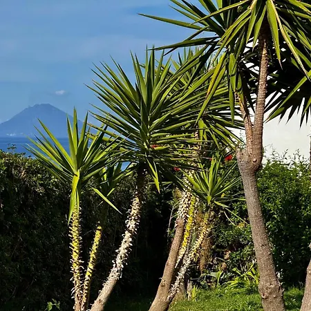 L'agave, Salina Malfa