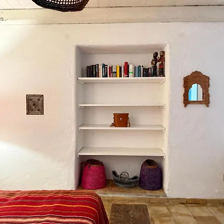 L'agave, Salina Malfa (Salina)